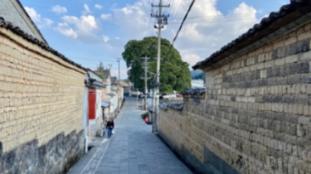 探索知识星球,加入有人知道这是啥吗,家里一大堆,杀不完,没有味道,捏起来很脆?,共享学习乐趣